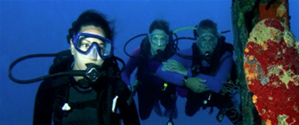 3 Days of 2-Tank Dives Gift Certificate